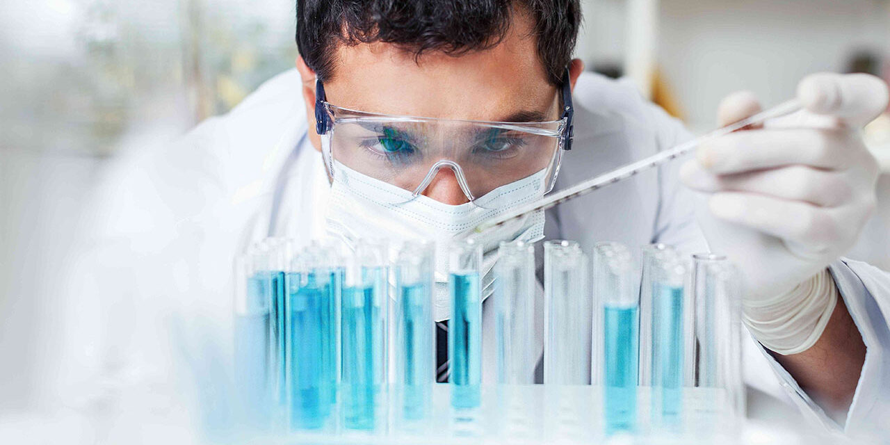 lab